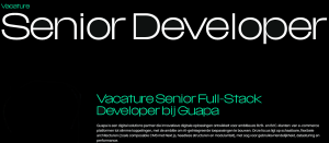 Vacature Senior Full-Stack Developer bij Guapa E-commerce.